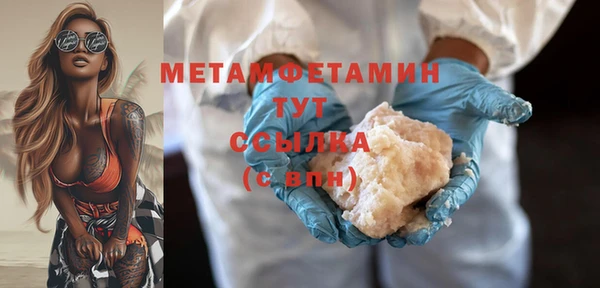 шишки Болотное