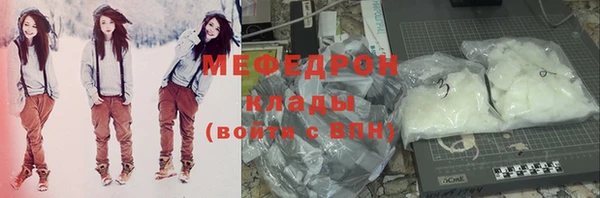 гидра Няндома