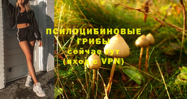 PSILOCYBIN Горнозаводск