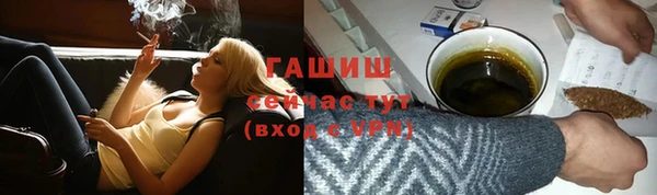 гидра Няндома