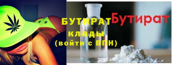 гидра Няндома
