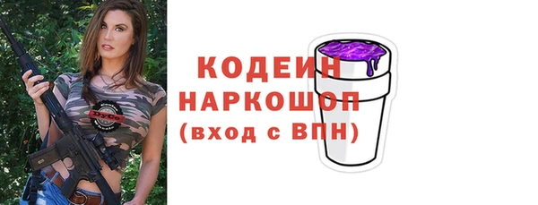 гидра Няндома