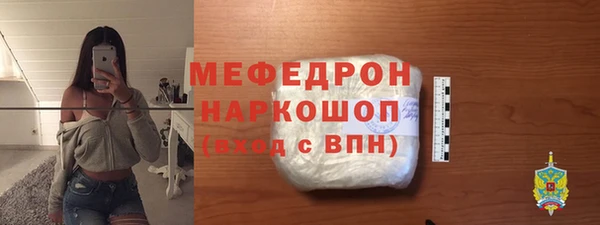гидра Няндома