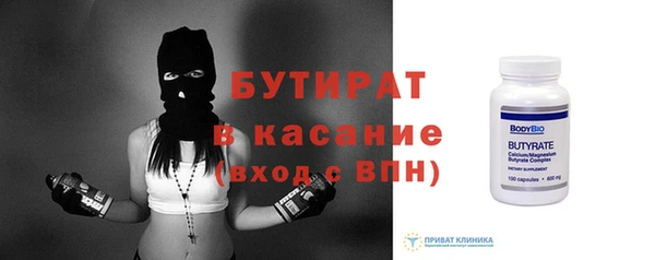 гидра Няндома