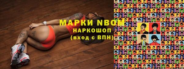 гидра Няндома