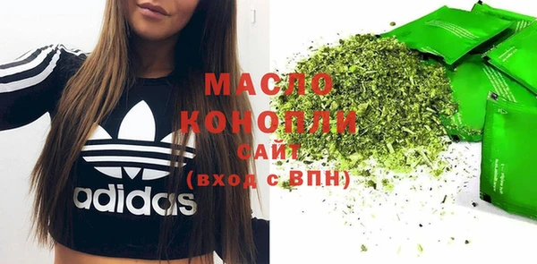 гидра Няндома