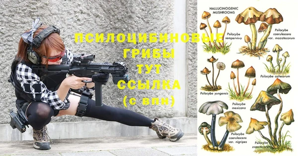 гидра Няндома