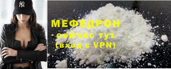 гидра Няндома