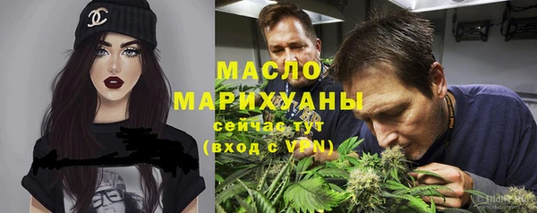 гидра Няндома