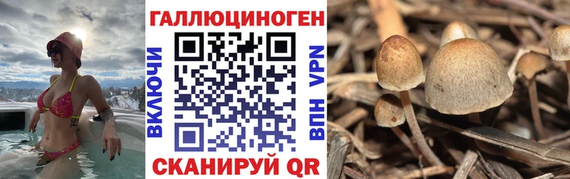Псилоцибиновые грибы Cubensis  Краснокамск 