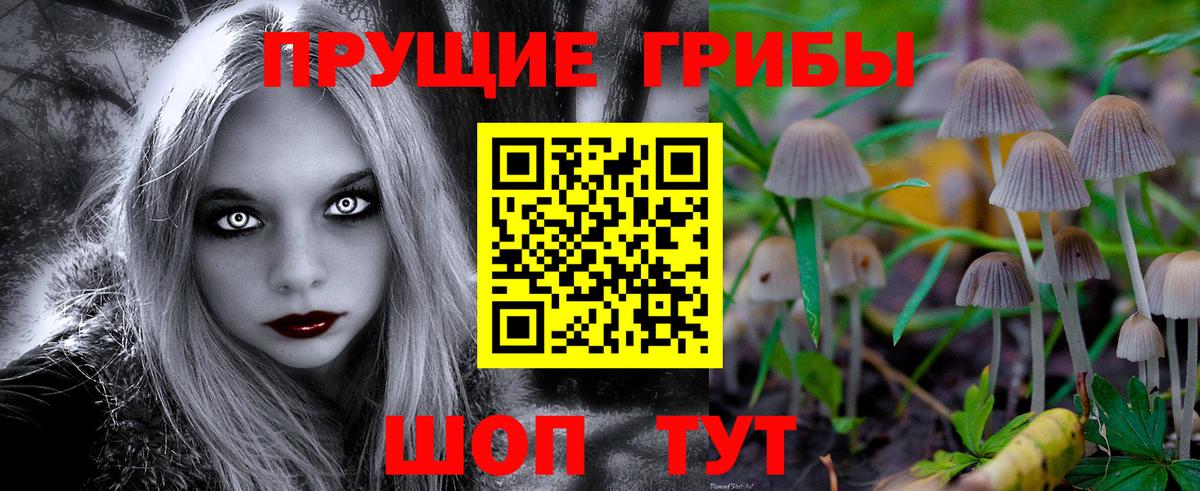 цены наркотик  Вход с VPN  Краснокамск  Псилоцибиновые грибы Psilocybe 